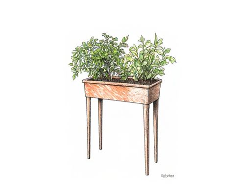 Plant Propagation Stands in Women's Homeware: Stylish Display and Functional Decor
