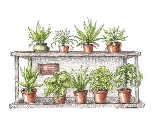 Plant Propagation Stations in Homeware: Enhancing Interior Design and Care for Women's Spaces