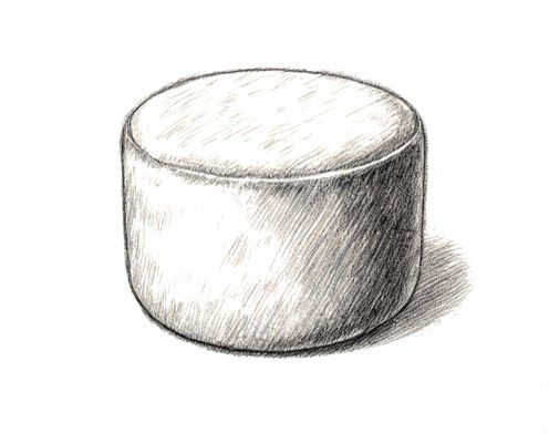 Plush Ottoman in Furniture: Styles, Uses, and Care Tips