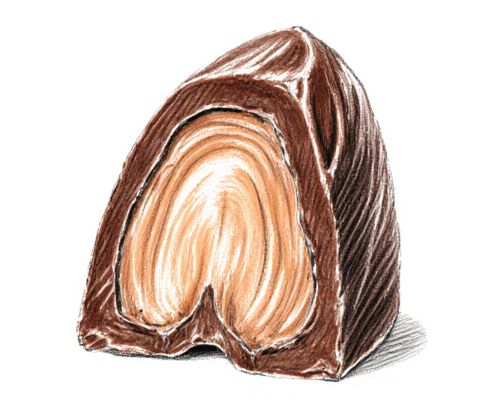 Praline Core in Women's Fragrances: Scent Profile, Popular Blends, and Lasting Appeal