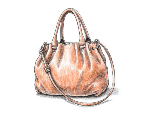 Puffy Bag in Bag: Design Features, Styling Tips, and Organizational Benefits