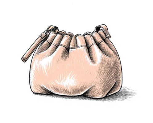 Puffy Pouch in Bags: Fashion Trends, Functional Benefits, and Material Choices
