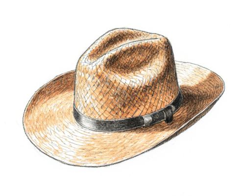 Raffia Hats in Women's Accessories: Style, Versatility, and Sustainable Fashion