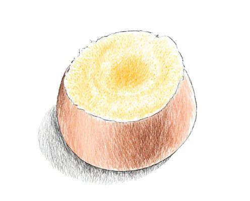 Scalp Scrub in Beauty: Benefits, Key Ingredients, and Application Techniques
