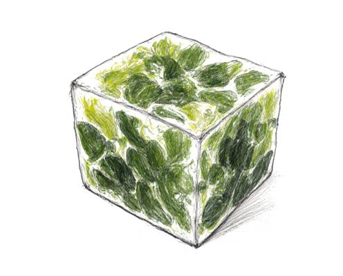 Seaweed Bath Cubes for Women: Benefits, Usage, and Skin Care Rituals