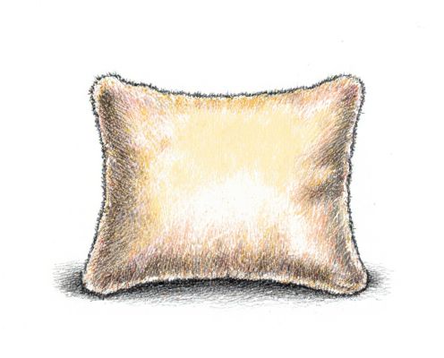 Shaggy Cushions in Homeware: Style, Comfort, and Interior Coordination