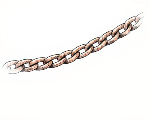Shoe Chains in Women's Accessories: Style Statements, Material Choices, and Outfit Pairing