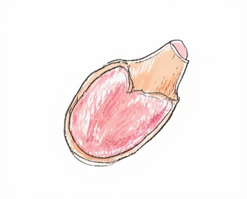 Skin Barrier Function in Beauty: Benefits, Product Ingredients, and Care Practices