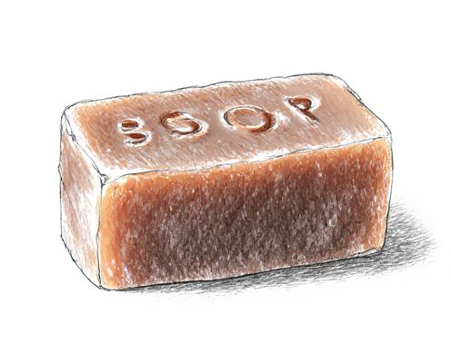 Soap Brow in Beauty: Benefits, Usage, and Product Recommendations