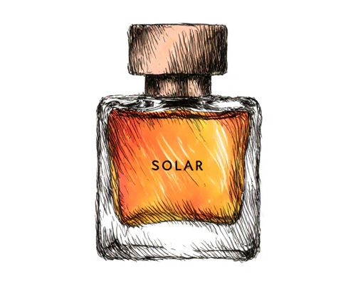 Solar Notes in Fragrance: Capturing Sunlight and Warmth in Women's Perfume
