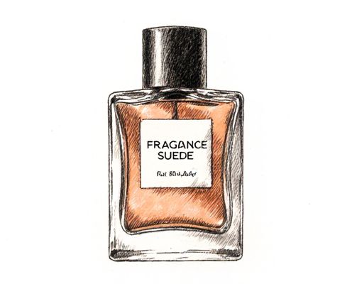 Suede Note in Women's Fragrances: Characteristics, Pairings, and Popular Perfumes
