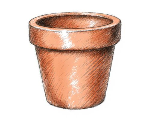 Terra Cotta Planters in Homeware: Design Aesthetics, Functional Benefits, and Styling Tips for Women