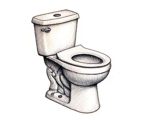 Toilet Fizz for Women's Bathrooms: Benefits, Usage, and Safety