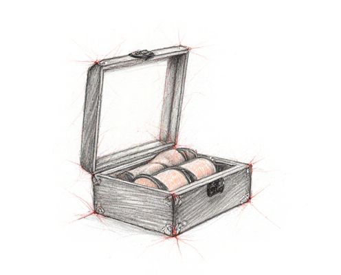 Tonneau Case in Women's Watches: Design, Elegance, and Versatility