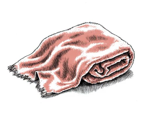 Velvet Throw in Home Decoration: Styling, Benefits, and Care for Women's Spaces