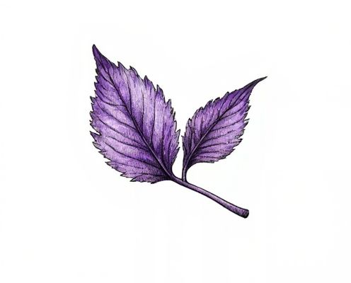 Violet Leaf in Fragrance: Aromatic Profile, Benefits, and Popular Uses in Women's Products