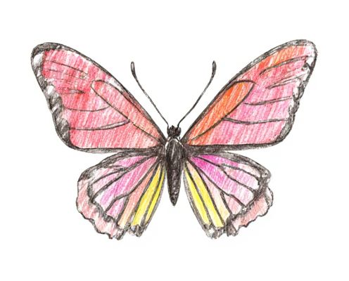 Y2K Butterfly Clips in Modern Accessories: Nostalgic Style, Versatile Use, and Fashion Pairings